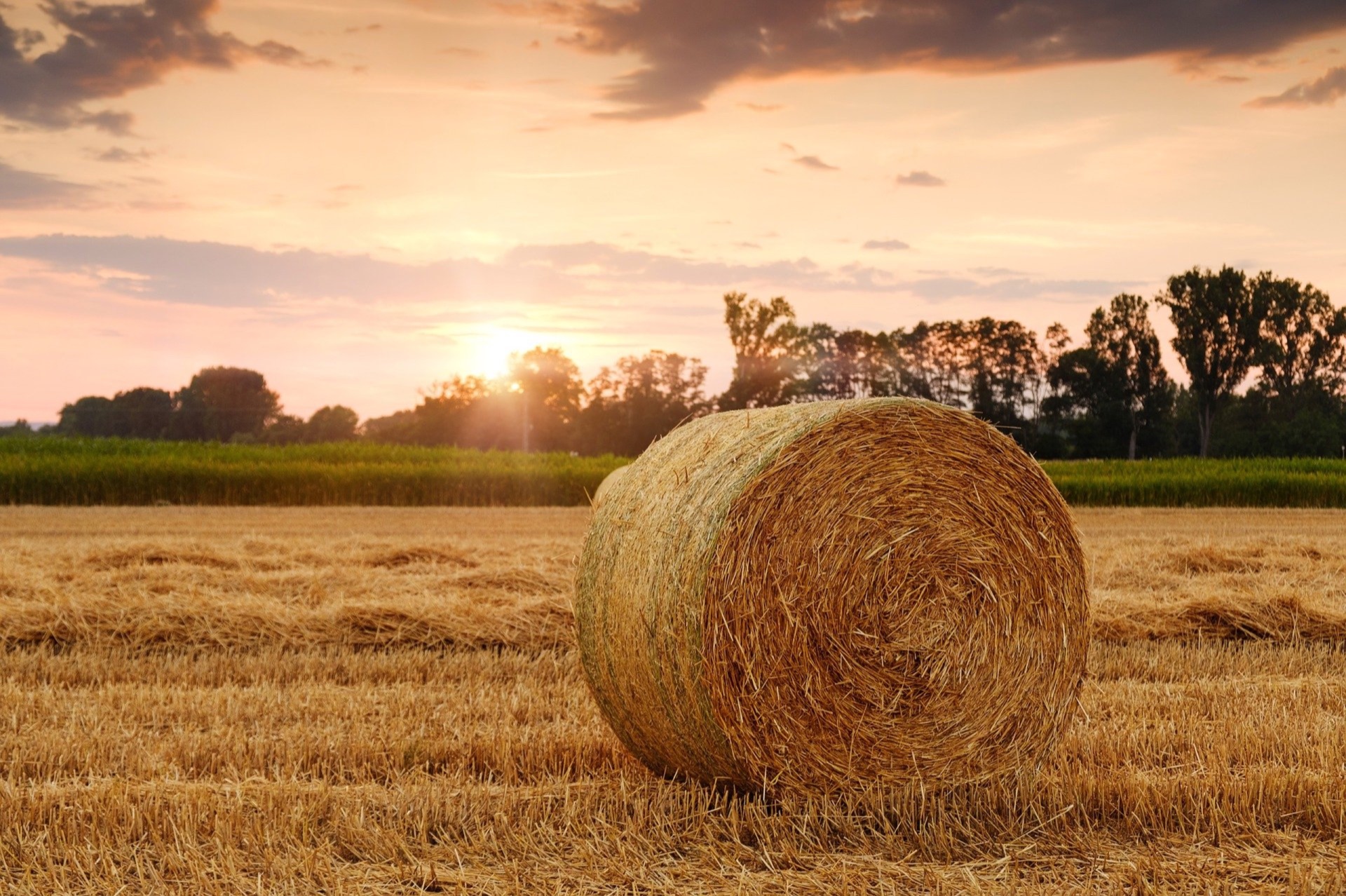 Balle de paille dans un champ au coucher du soleil