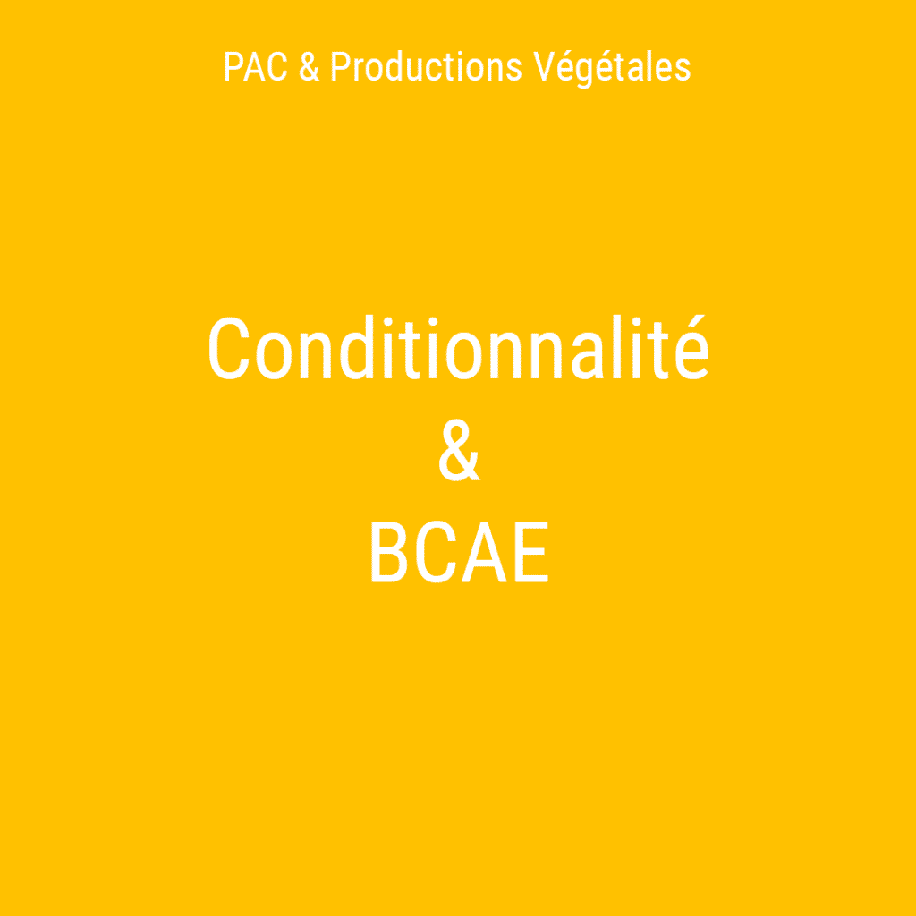 CONDITIONNALITE ET BCAE