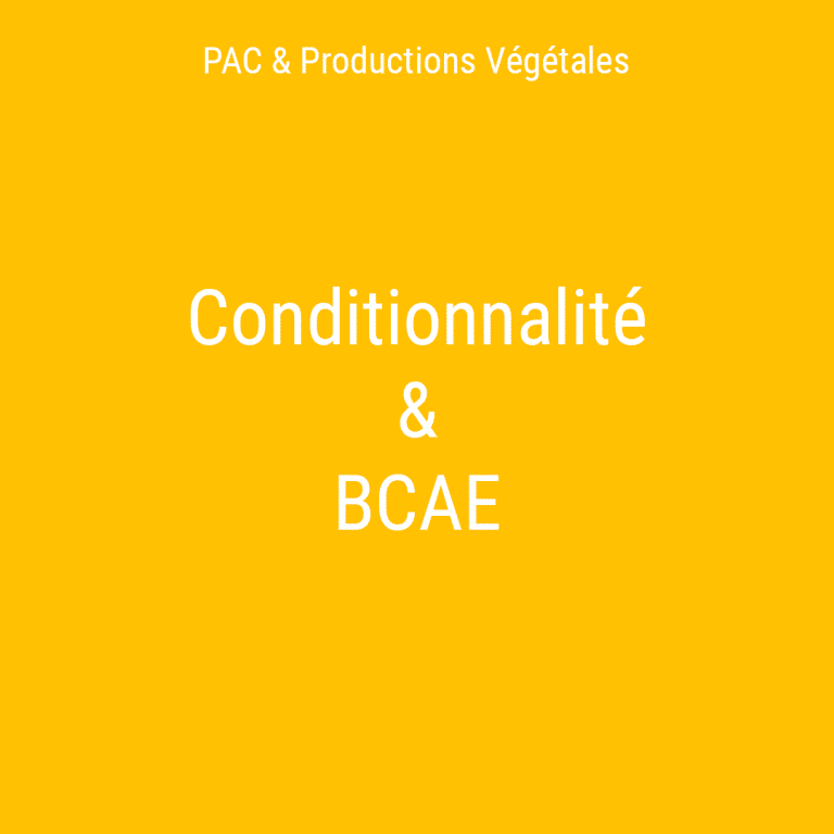 CONDITIONNALITE ET BCAE