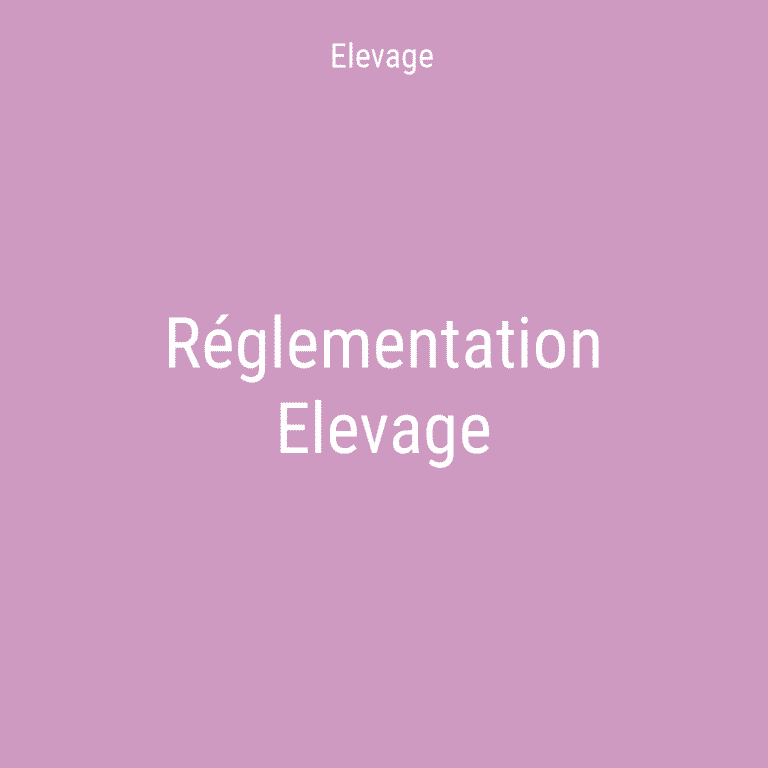 Réglementation elevage