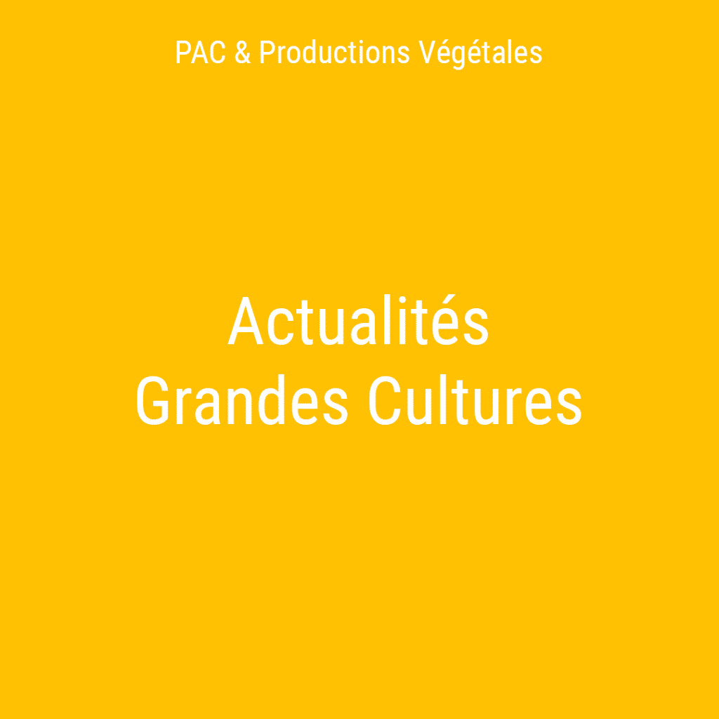 actualites grandes cultures