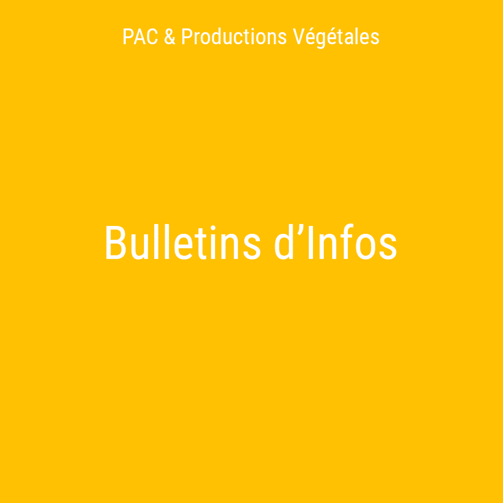 bulletins d'infos