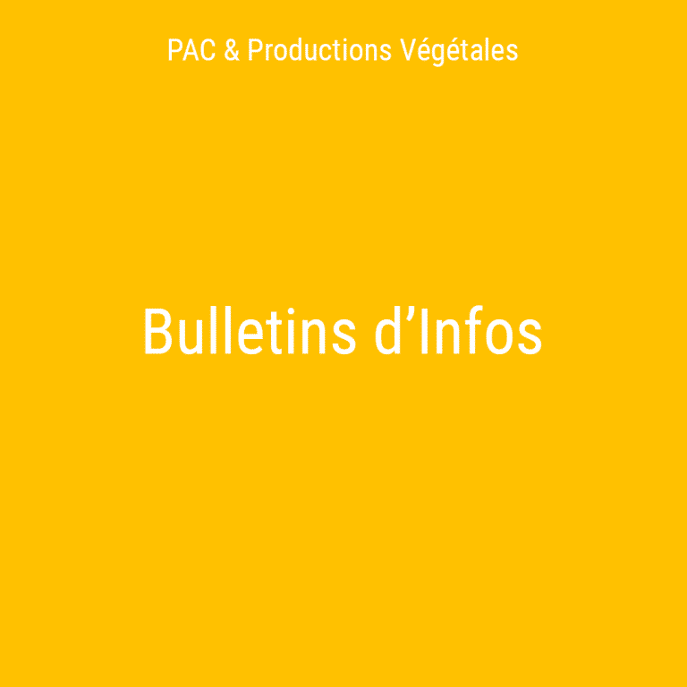 bulletins d'infos