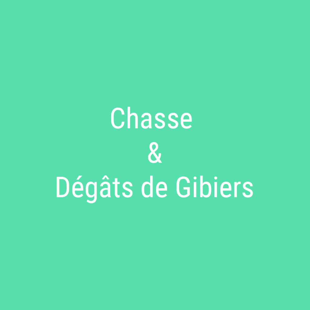 chasse et degats de gibiers
