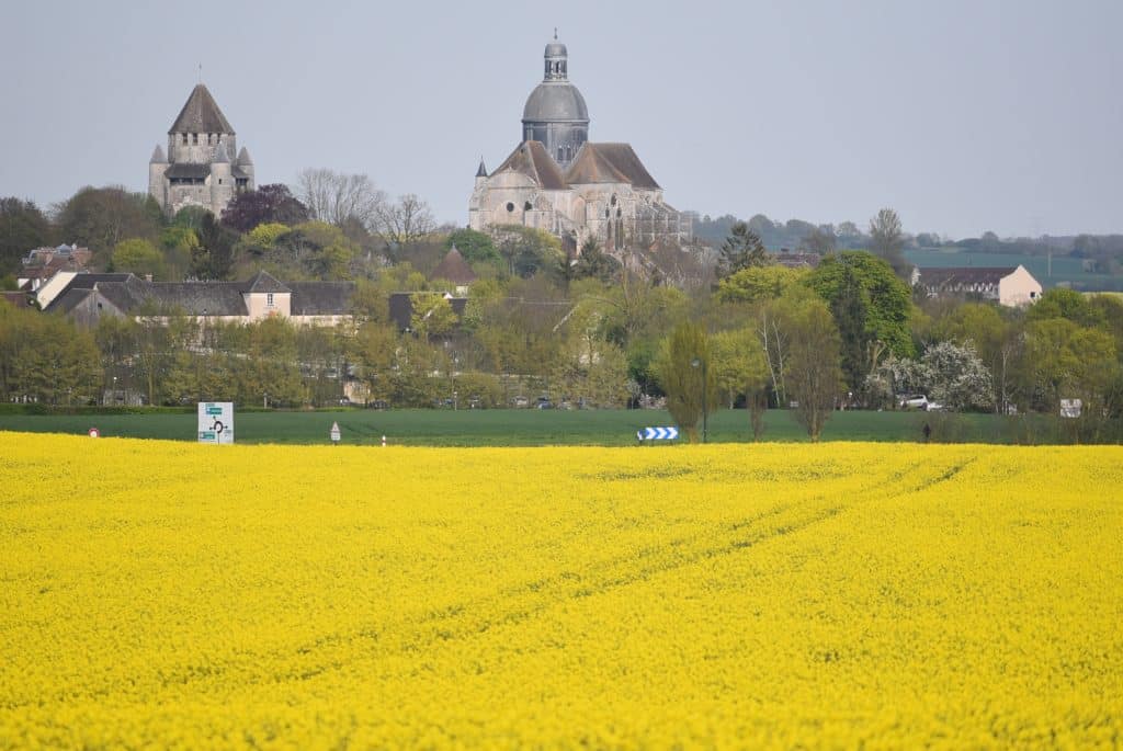 provins colza