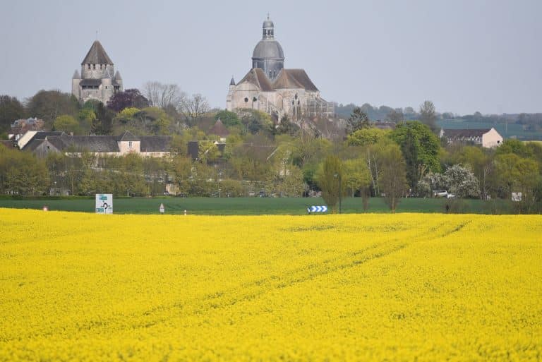provins colza