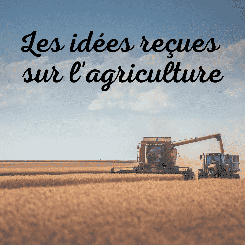 Vrai / Faux