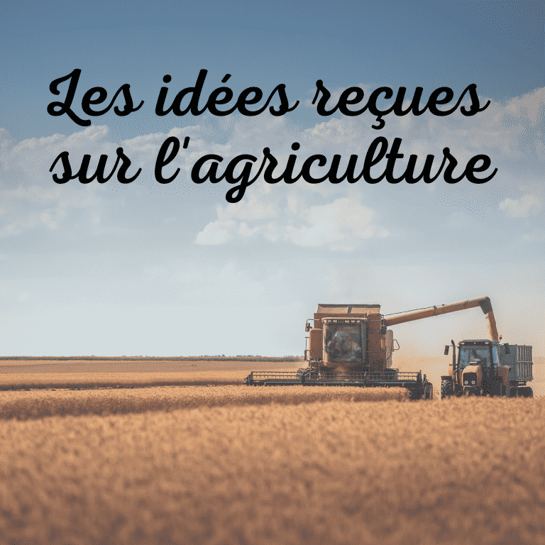 Vrai / Faux
